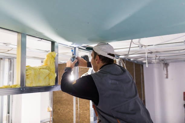 Best Spray Foam Insulation in Spring Hill, FL