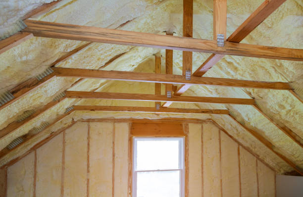 Professional Insulation Contractor in Spring Hill, FL