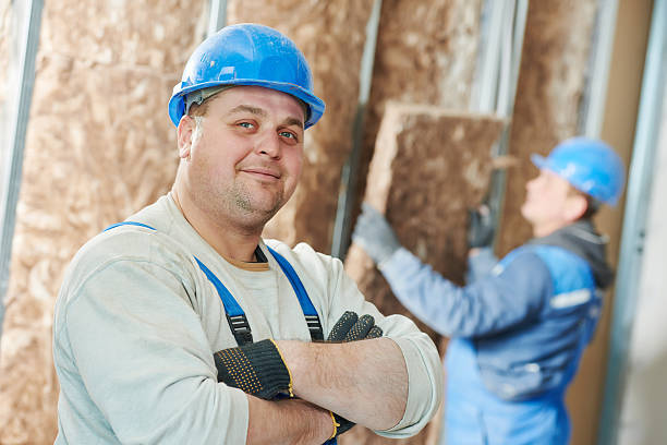 Best Energy Efficiency Insulation in Spring Hill, FL
