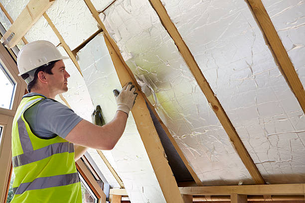 Best Specialized Insulation Services in Spring Hill, FL